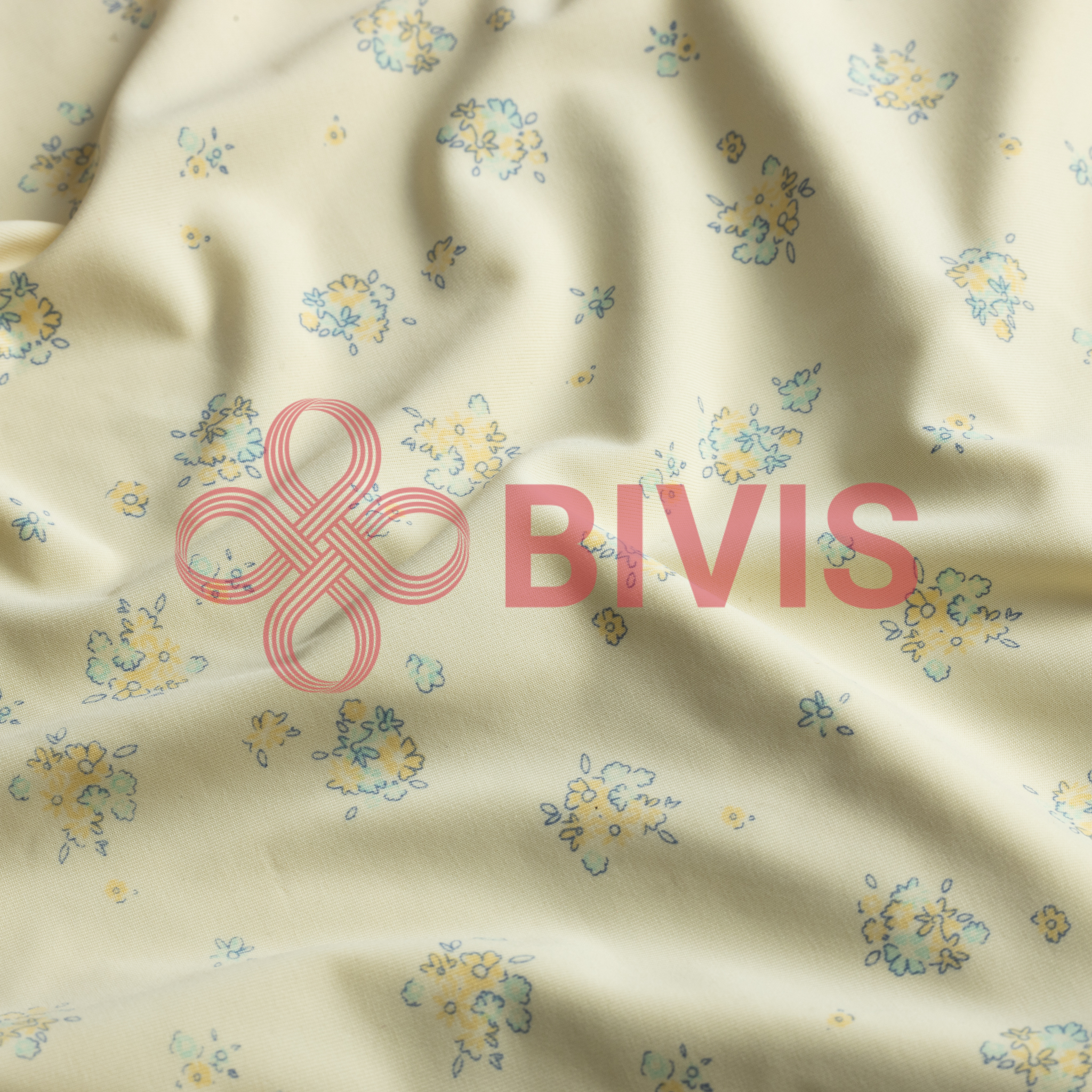 BV-F678