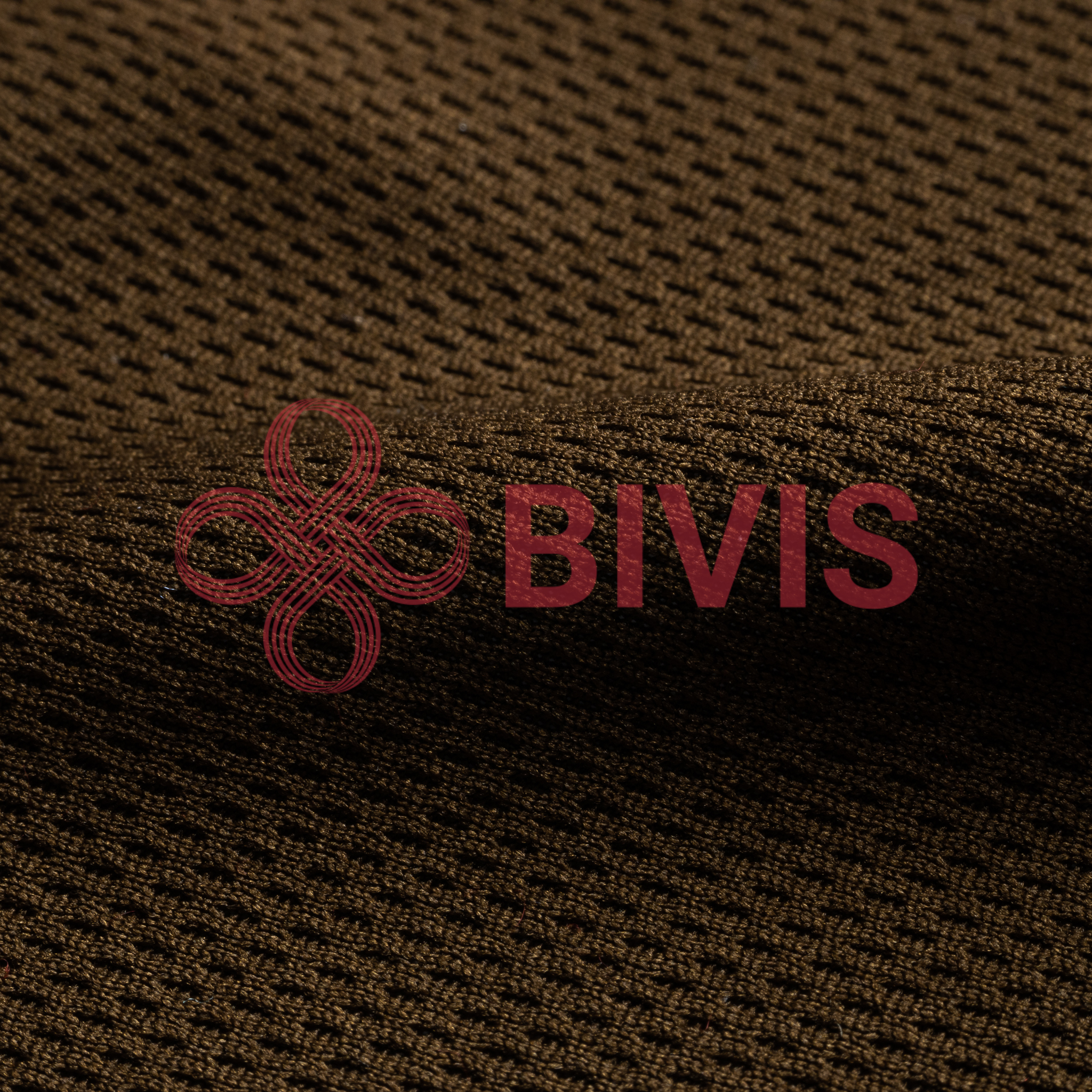 BV-037